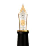 Pelikan Souveran M1000 Fountain Pen Raden Stardust Limited Edition