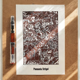 Pennonia Strigoi Limited Edition Pigmented Ink 30ml