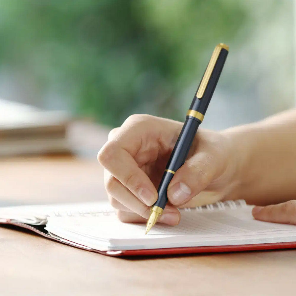 Platinum Biso Fountain Pen Nebula Black