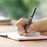 Platinum Biso Limited Edition Fountain Pen Mystic Purple