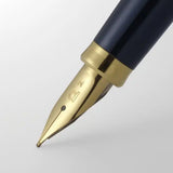 Platinum Biso Fountain Pen Nebula Black