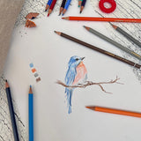 STABILO Original Metal Box Of 12 Assorted Colours by Stabilo at Cult Pens