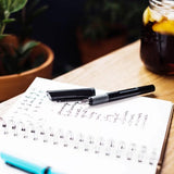 Sheaffer Calligraphy Fountain Pen Black Stub 1.5