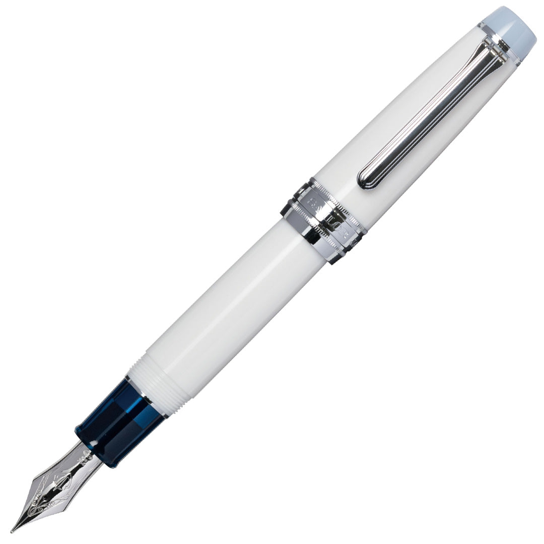 Ballpoint Pen Best Fountain Pen In The World Fountain Pens Which