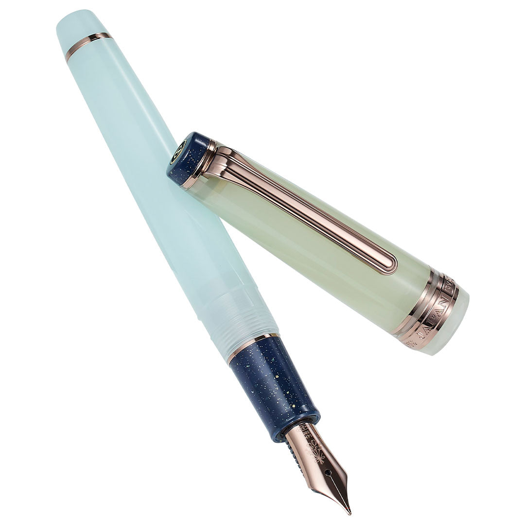Sailor Professional Gear Slim Fountain Pen Dried Flowers Hydrangea