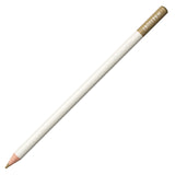 Tombow Irojiten Colour Pencil