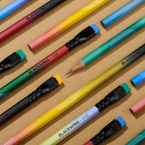 Blackwing Volume 458 – A Tribute to Birding Box of 12 Pencils