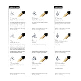 Pilot Custom 743 Fountain Pen Black