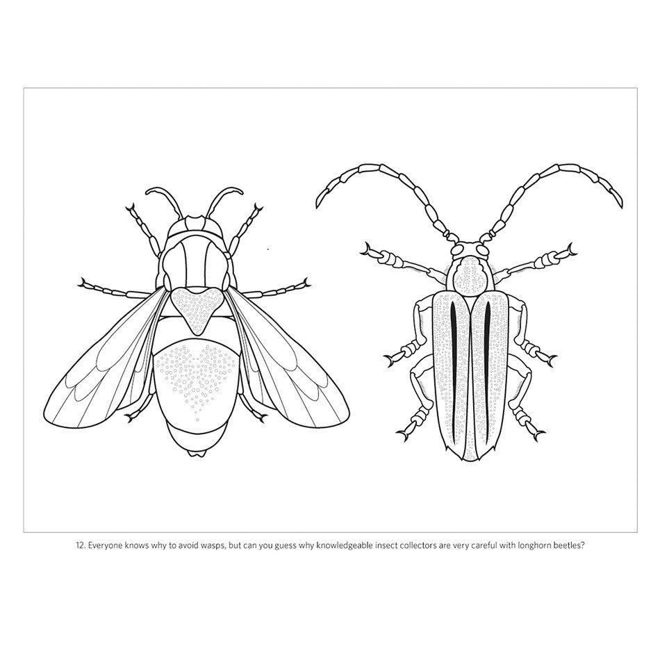 Incredible Insects: Designs by Christopher Marley Colouring Book by Pomegranate at Cult Pens