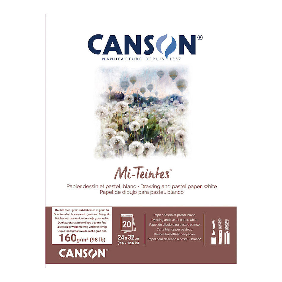 Canson Mi-Teintes Pad 24 x 32 by Canson at Cult Pens