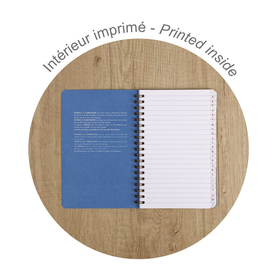 Clairefontaine Animalis Wirebound Index Notebook 11x17 by Clairefontaine at Cult Pens
