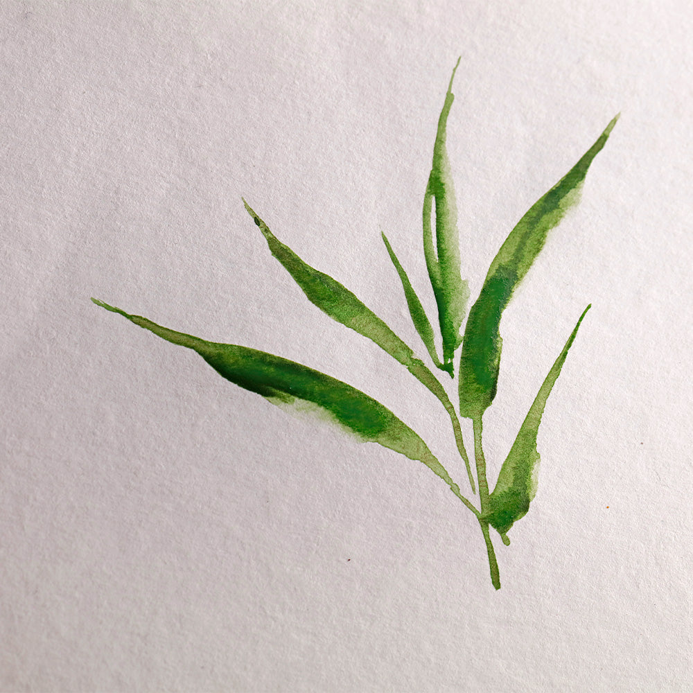 Clairefontaine Glued Watercolour Pad 20 Sheets Bamboo A5 by Clairefontaine at Cult Pens