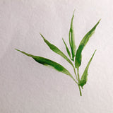 Clairefontaine Glued Watercolour Pad 20 Sheets Bamboo A5 by Clairefontaine at Cult Pens