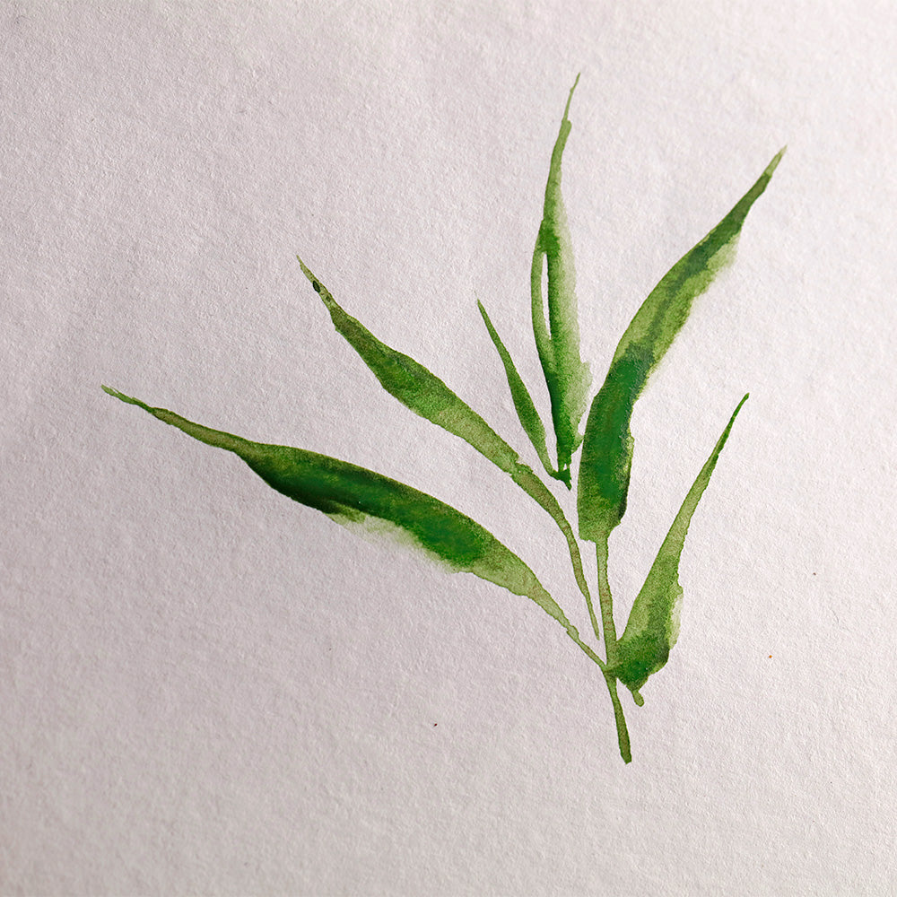 Clairefontaine Glued Pad 20 Sheets Bamboo A4 by Clairefontaine at Cult Pens