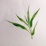 Clairefontaine Glued Pad 20 Sheets Bamboo A4 by Clairefontaine at Cult Pens