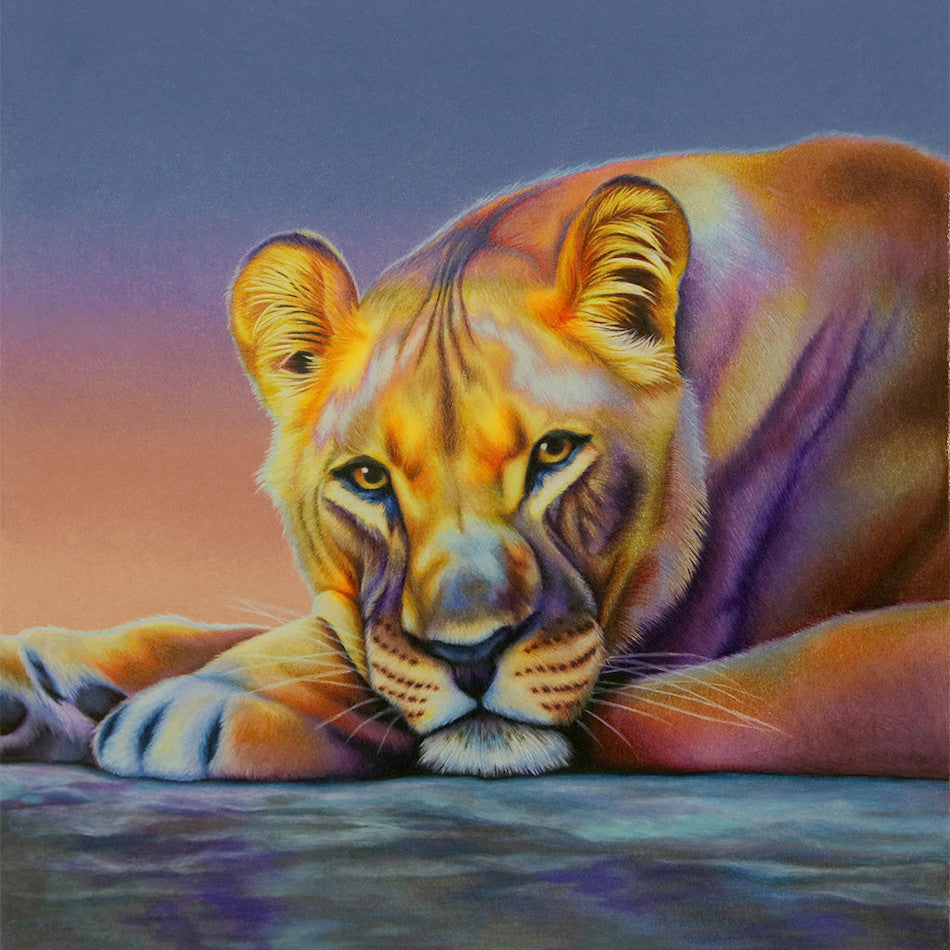 Derwent Chromaflow Coloured Pencils Tin of 12 by Derwent at Cult Pens