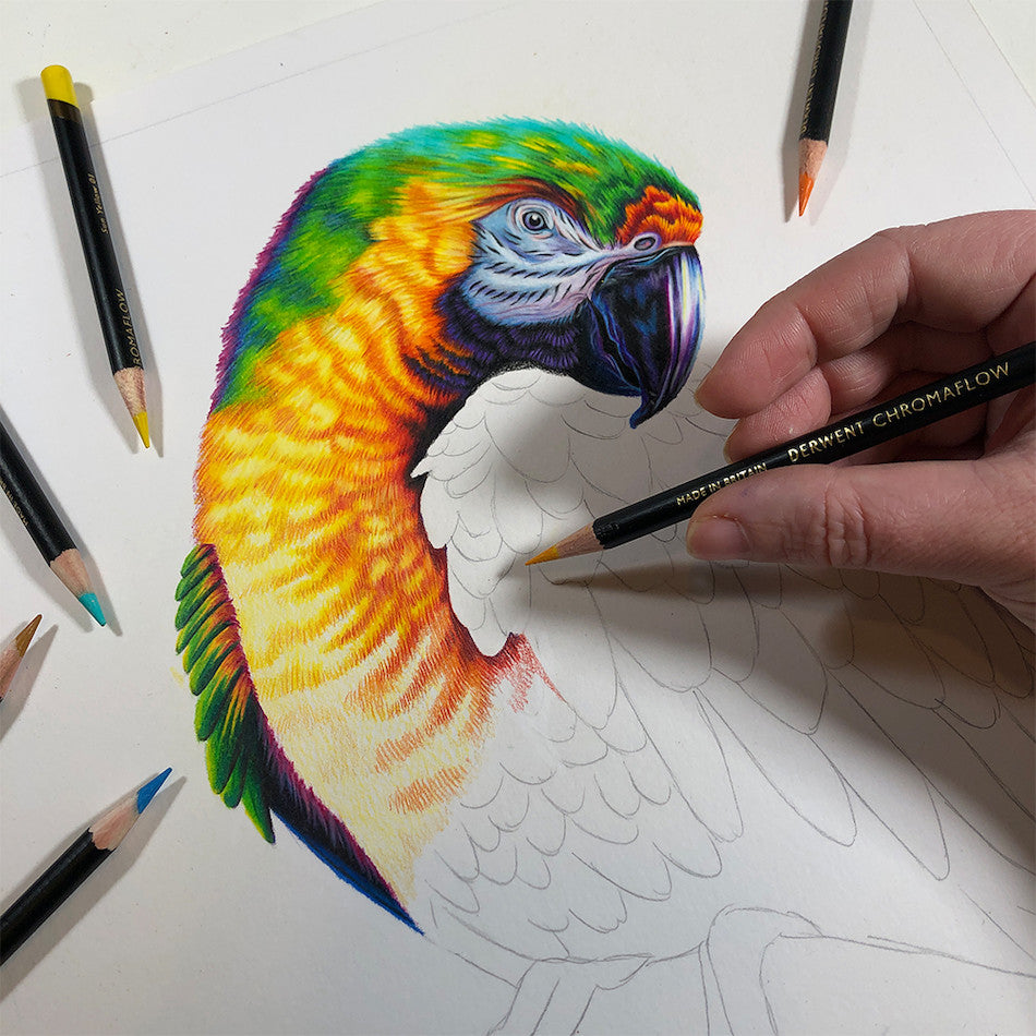 Derwent Chromaflow Coloured Pencils Tin of 24 by Derwent at Cult Pens