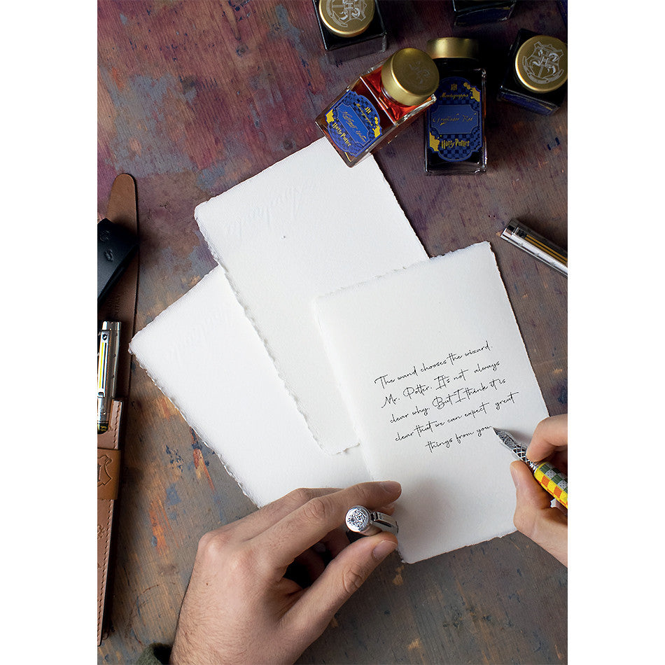 Montegrappa Harry Potter Bottled Fountain Pen Ink 50ml by Montegrappa at Cult Pens