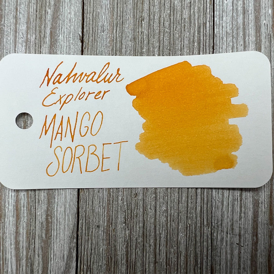 Nahvalur Explorer Ink 20ml by Nahvalur at Cult Pens