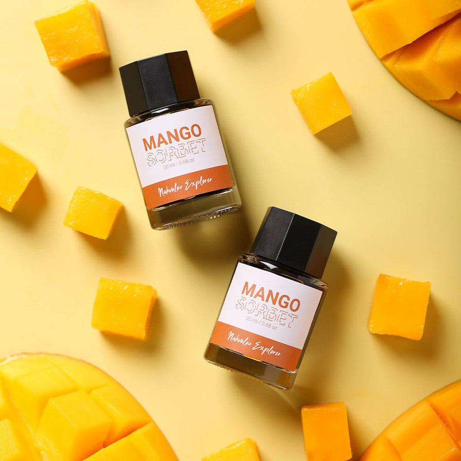 Nahvalur Explorer Ink 20ml by Nahvalur at Cult Pens