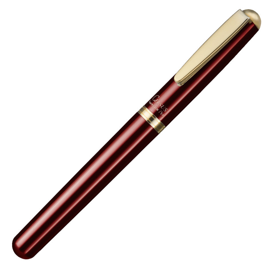 OHTO Celsus Fountain Pen by OHTO at Cult Pens
