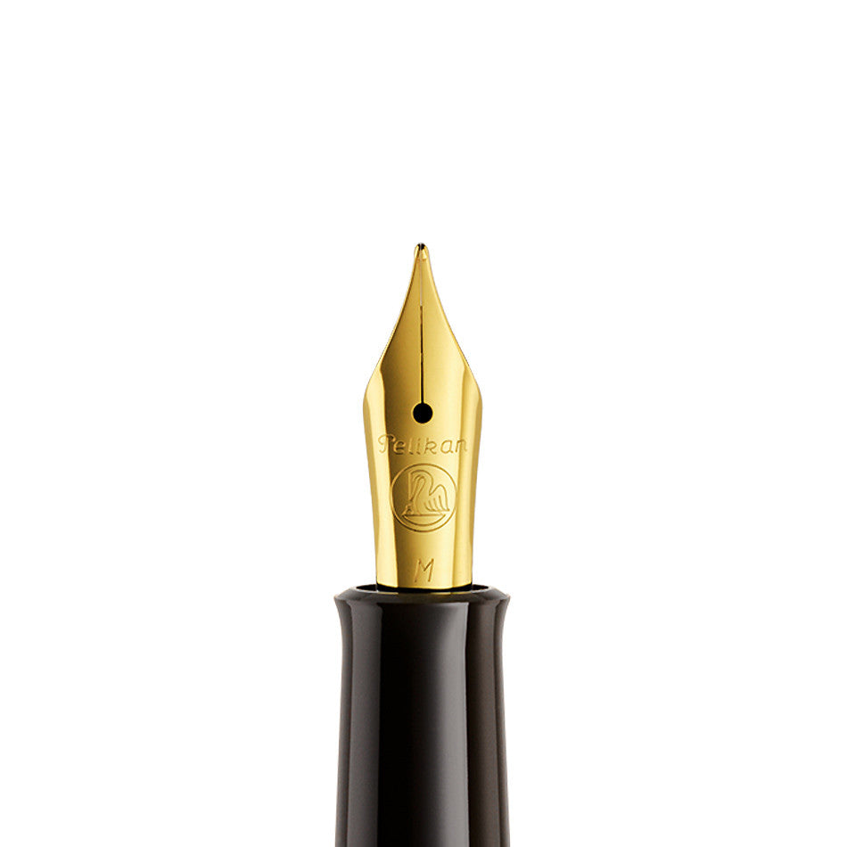 Pelikan Classic M200 Brown Marbled Fountain Pen by Pelikan at Cult Pens