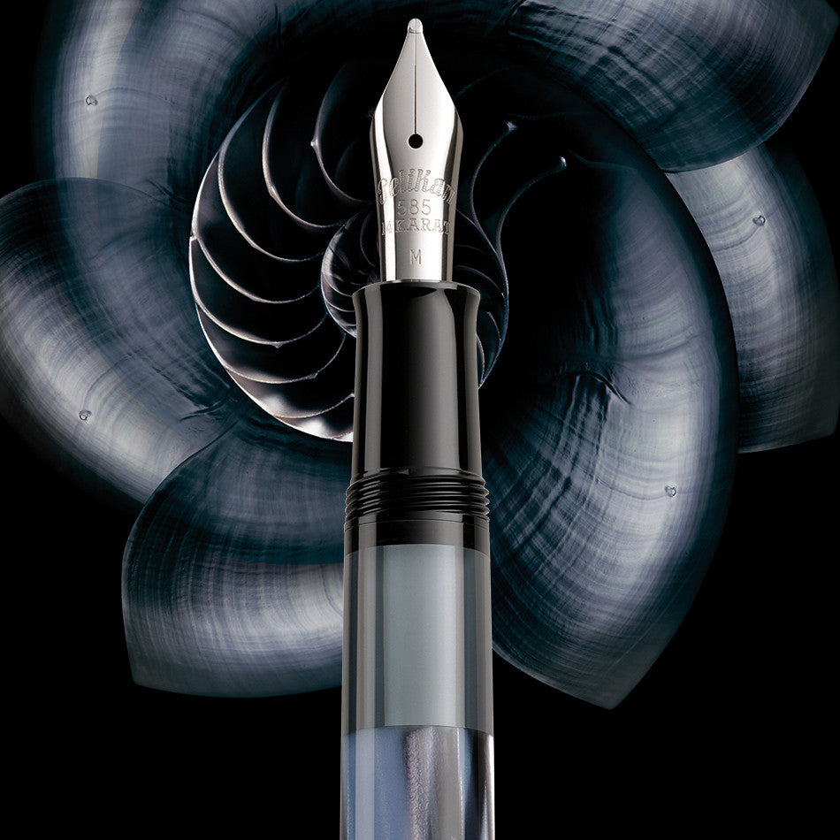 Pelikan M101N Fountain Pen Limited Edition Gift Set Grey Blue by Pelikan at Cult Pens