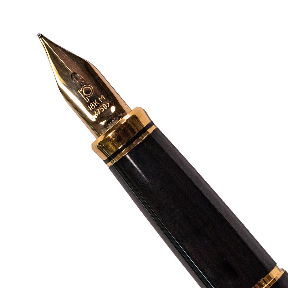 Platinum Kanazawa-Haku Fountain Pen Goldfish by Platinum at Cult Pens