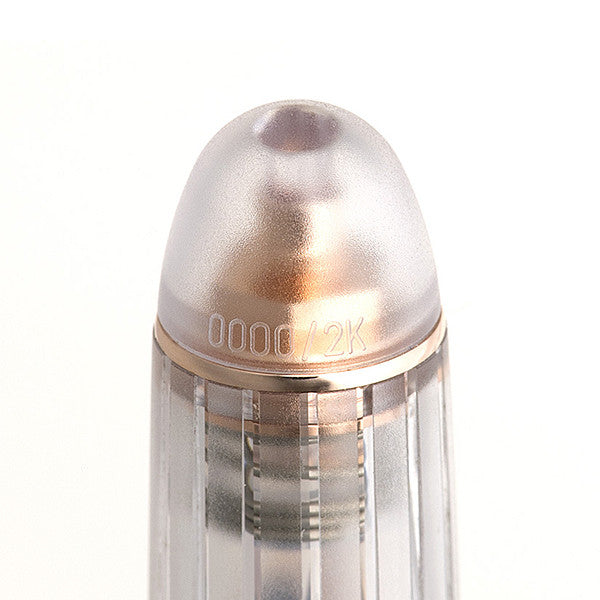 Platinum #3776 Century Fountain Pen Nice by Platinum at Cult Pens