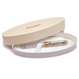 Platinum #3776 Century Fountain Pen Nice by Platinum at Cult Pens