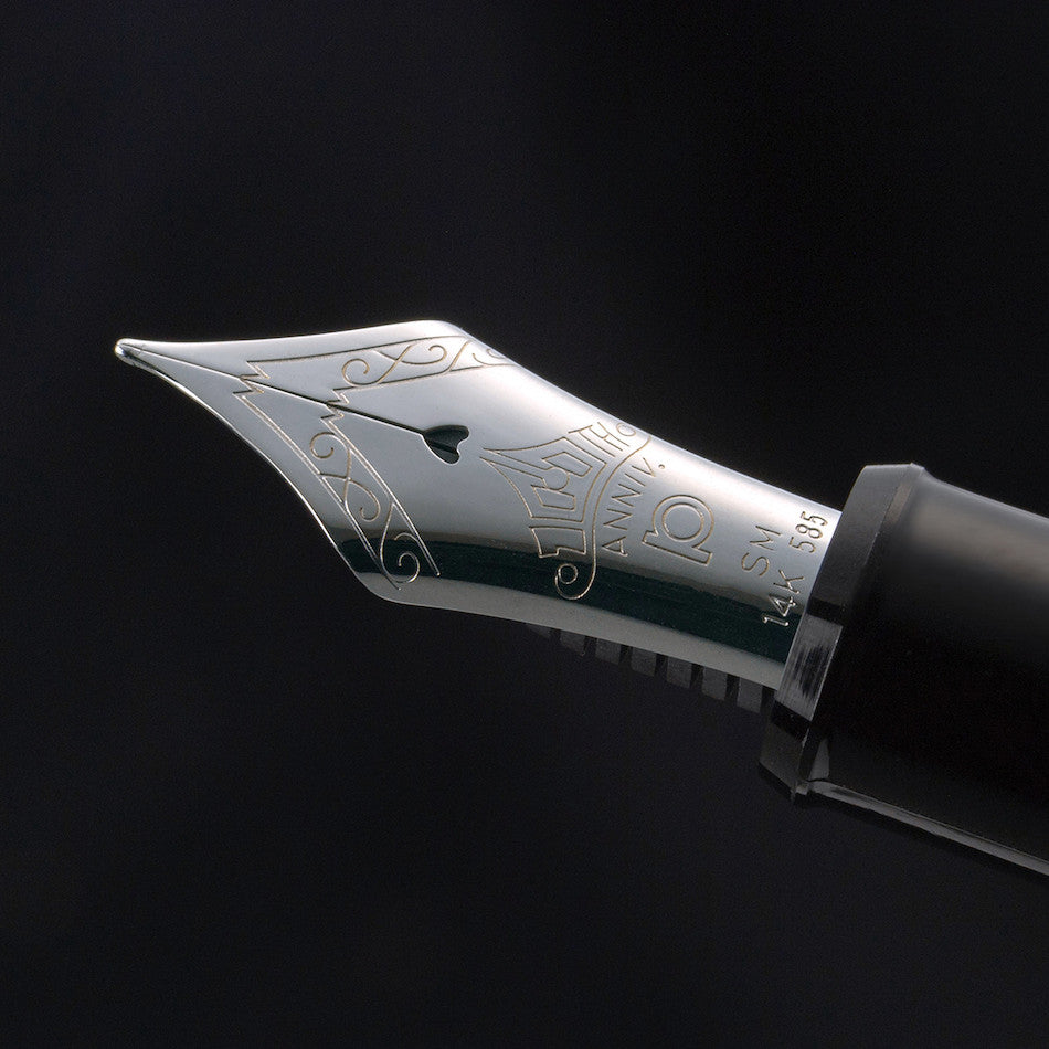 Platinum #3776 Century Fountain Pen 'The Prime' Limited Edition by Platinum at Cult Pens