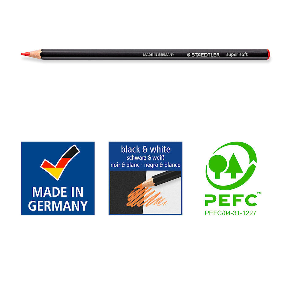 STAEDTLER Design Journey Kleurpennen – 12 Pastelkleuren – Dubbelzijdig: Fijne Punt 0,5 Mm En Brede Punt 3,0 Mm – Voor Schetsen, Lettering En Kleuren