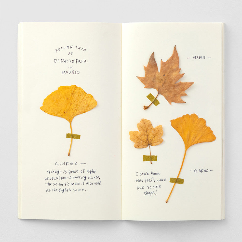 TRAVELER'S COMPANY Notebook Refill Cream by TRAVELER'S COMPANY at Cult Pens