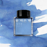 Wearingeul Jung Ji Yong Literature Fountain Pen Ink 30ml by Wearingeul at Cult Pens