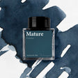 Wearingeul Demian Literature Fountain Pen Ink 30ml by Wearingeul at Cult Pens