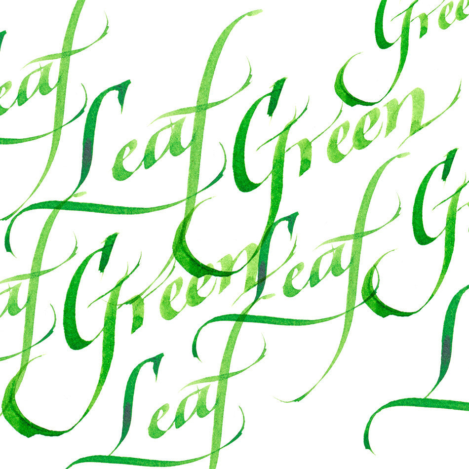 Winsor & Newton Calligraphy Ink 30ml by Winsor & Newton at Cult Pens