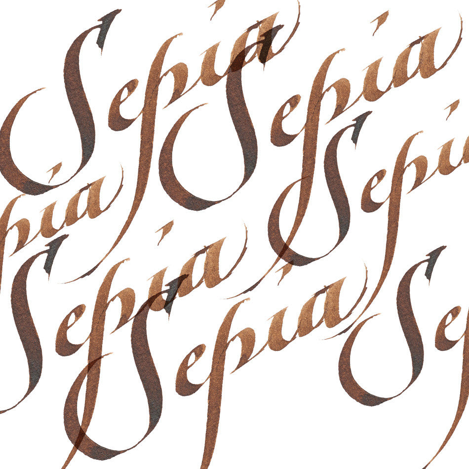 Winsor & Newton Calligraphy Ink 30ml by Winsor & Newton at Cult Pens