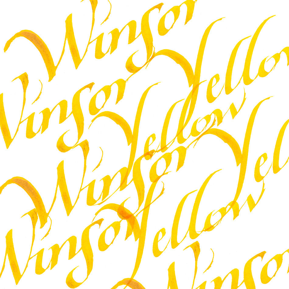 Winsor & Newton Calligraphy Ink 30ml by Winsor & Newton at Cult Pens