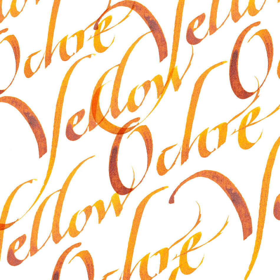 Winsor & Newton Calligraphy Ink 30ml by Winsor & Newton at Cult Pens